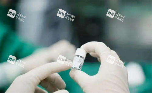 龙晶PR晶体术中实拍