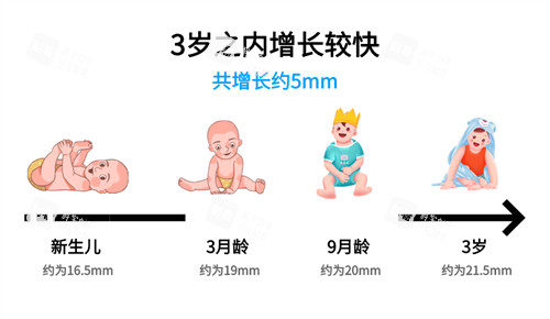 眼轴长度与近视对照表3岁之内增长较快