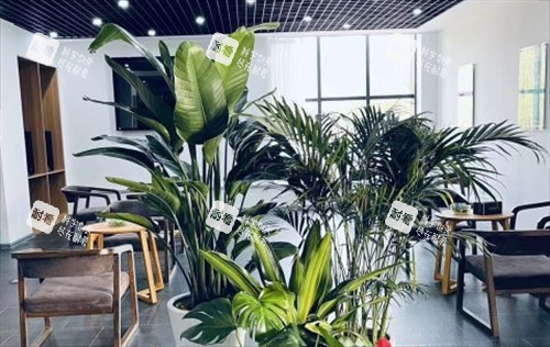 沈阳笙泽植发休息区 沈阳笙泽植发休息区