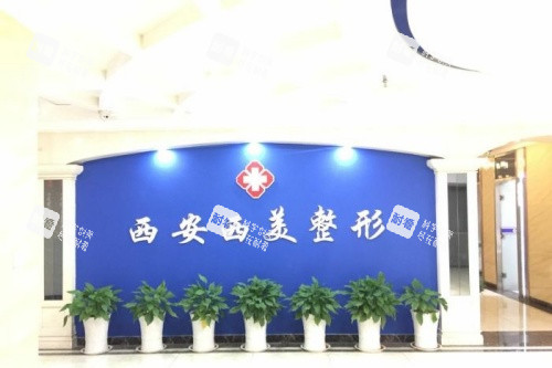 西安西美整形logo 西安西美整形logo