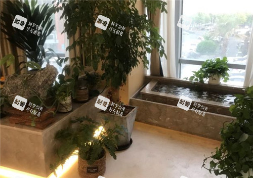 上海九慕医疗美容环境.jpg