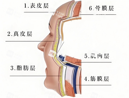 抗衰层次简介.jpg