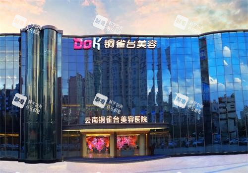 云南铜雀台整形大门口图.png 云南铜雀台整形大门口图.png