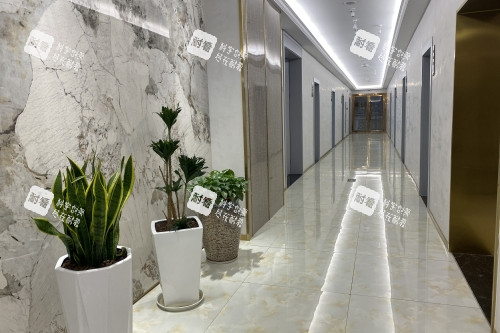 金华亚美整形医院走廊.jpg