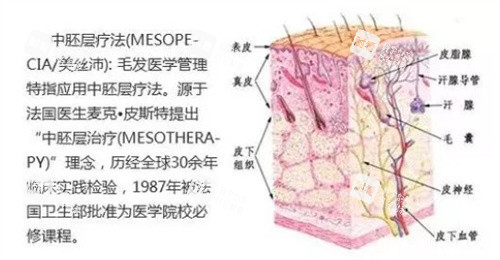 头皮水光的原理.jpg