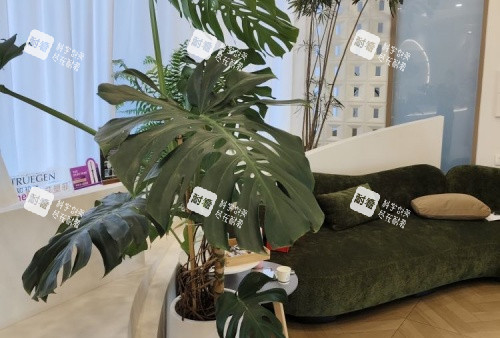 济南市悦荟丽格整形等待区示意图.jpg 济南市悦荟丽格整形等待区示意图.jpg