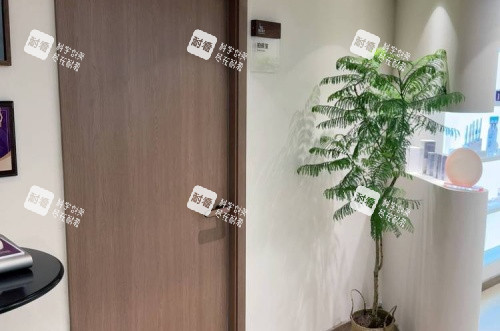 济南市悦荟丽格整形门口绿植示意图.jpg