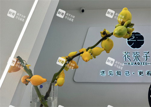无锡花柒子医疗美容.jpg