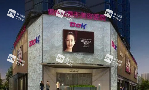 成都铜雀台整形医院建筑示意图.jpg