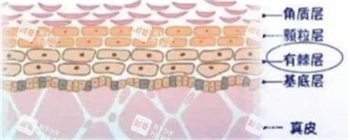 皮肤管理.jpg