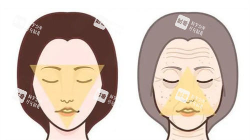 抗衰除皱前后对比.jpg