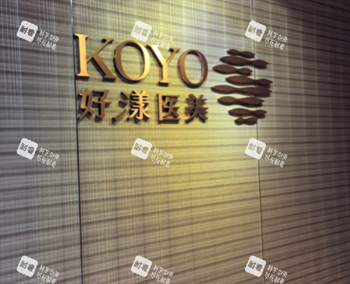 南京好漾医美logo图.png 南京好漾医美logo图.png