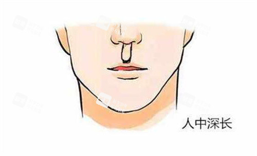 人中过长卡通图展示.jpg