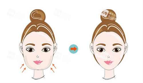 面部轮廓.jpg