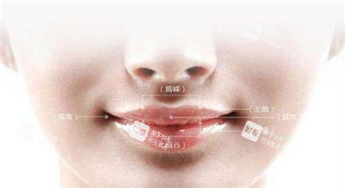 人中窝卡通图.jpg 人中窝卡通图.jpg