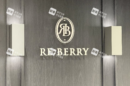 韩国reberry医院江南店logo.JPG