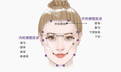 面部轮廓说明.jpg