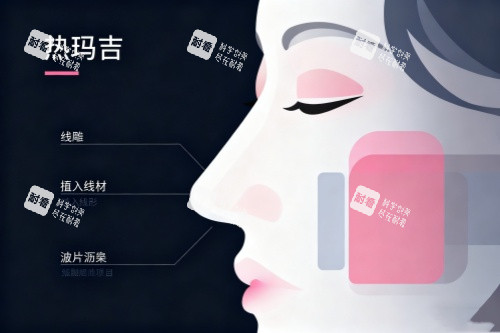 面部做热玛吉卡通图.jpg