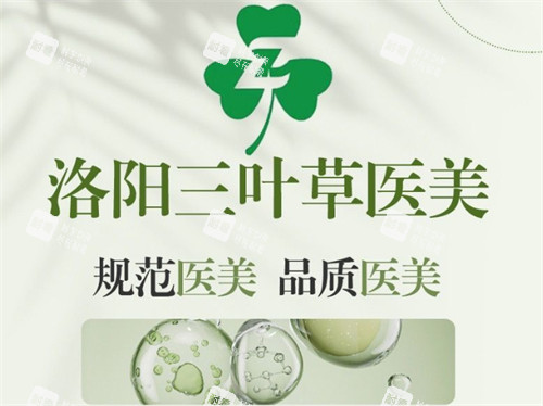洛阳三叶草医疗美容怎么样.jpg