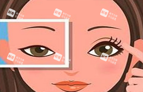 双眼皮对比.png