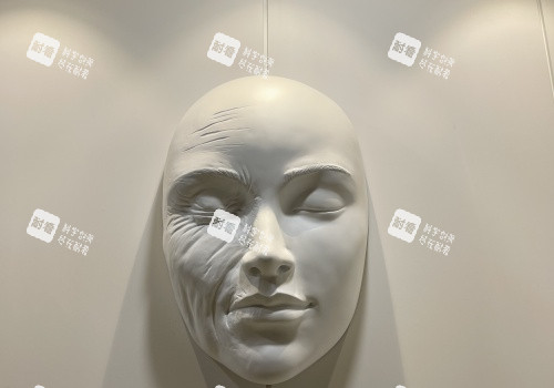 韩国pangpang医院展示.JPG 韩国pangpang医院展示.JPG