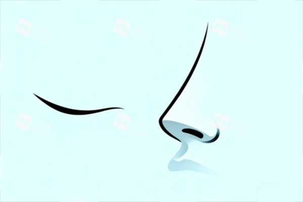 隆鼻卡通图展示.png