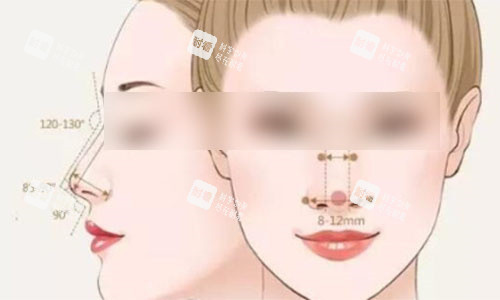 隆鼻标准对比.jpg 隆鼻标准对比.jpg
