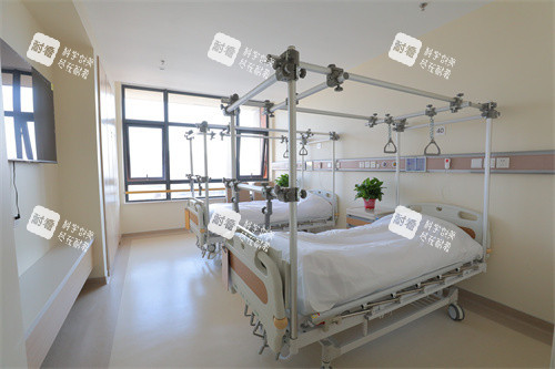 江苏省中医院环境.jpg