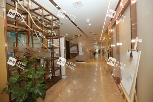 保定蓝山整形内部环境.jpg