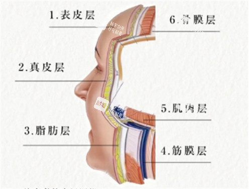 分层抗衰.jpg 分层抗衰.jpg