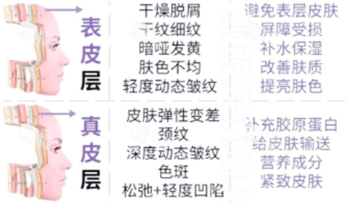 不同皮肤层次抗衰重点.jpg