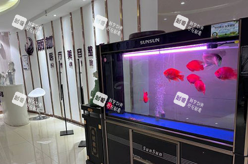运城丽都整形大厅环境实拍图.jpg
