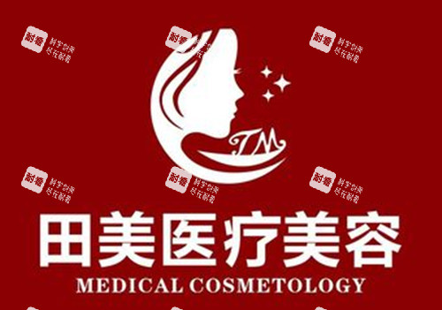赣州田美医疗美容LOGO示意图.jpg