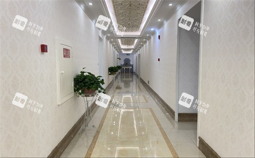 成都达芬奇医疗美容过道.jpg