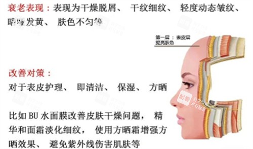 表层抗衰.jpg 表层抗衰.jpg