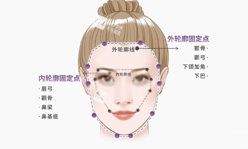 面部轮廓说明.jpg 面部轮廓说明.jpg