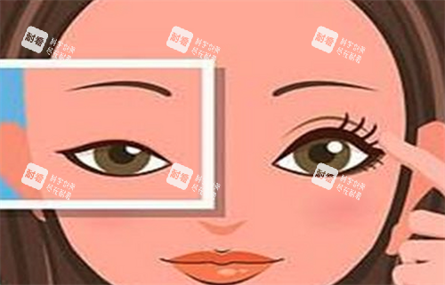 双眼皮对比.png