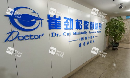 合肥崔劲松整形医院logo.jpg