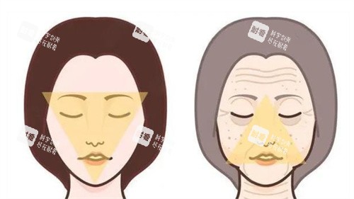 抗衰除皱前后对比.jpg 抗衰除皱前后对比.jpg