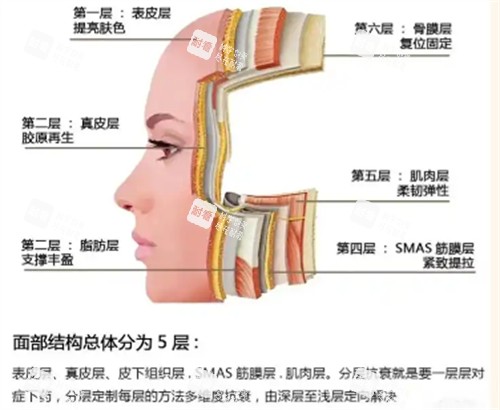 分层抗衰怎么样.jpg