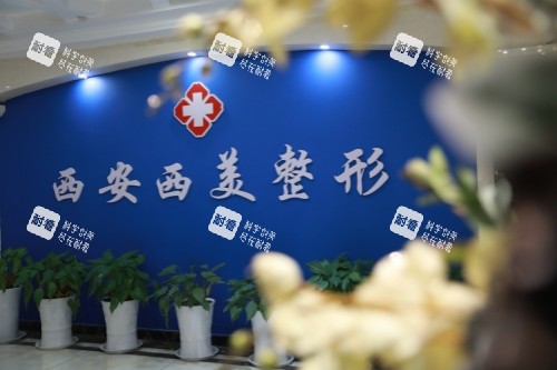 西安西美整形招牌.jpg