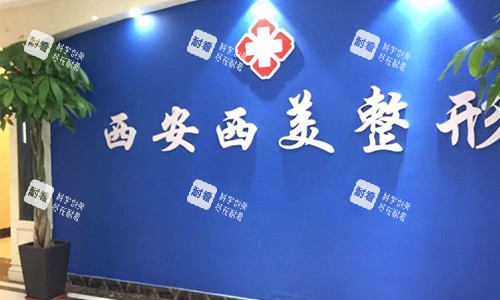 西安西美整形logo墙.jpg