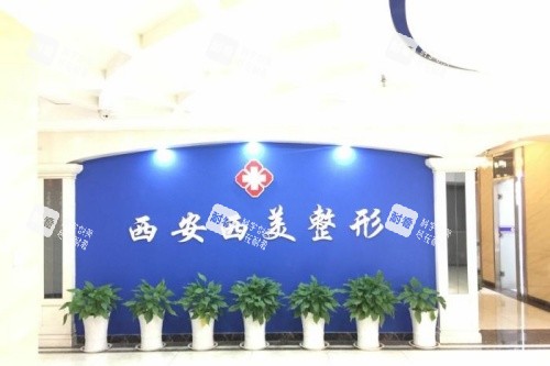 西安西美整形logo.jpg