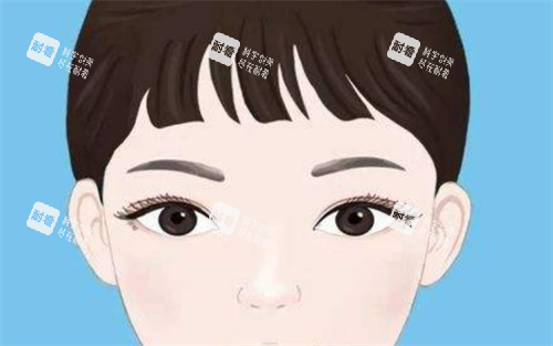 双眼皮展示.png 双眼皮展示.png