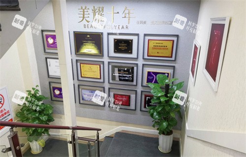 赣州韩美整形荣誉.jpg